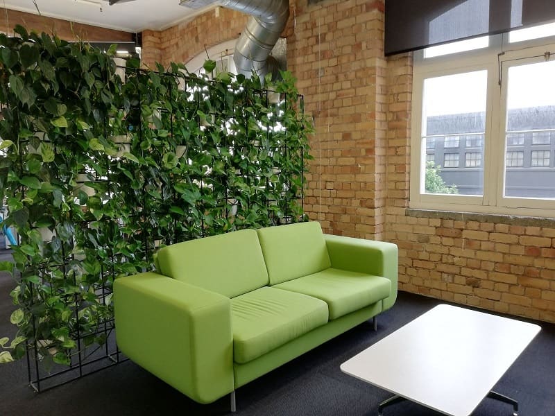 Sử dụng cây xanh làm vách ngăn - hóa giải các yếu tố phong thủy