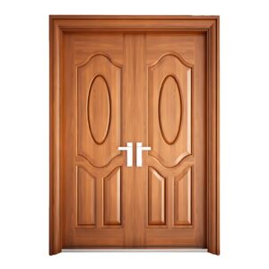 Cửa thép vân gỗ NS2-H1